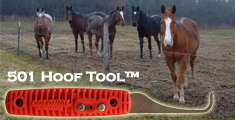 501 Hoof Tool Image